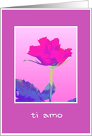 pink red rose ti amo card