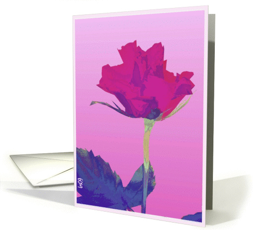 pink red rose blank card (375503)