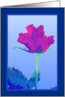 pink red rose blank blue card