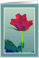 pink red rose blank green card
