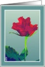 pink red rose blank green card