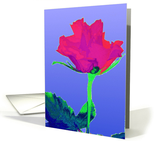 pink red rose blank blue card (375514)