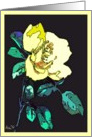 yellow white rose blank card