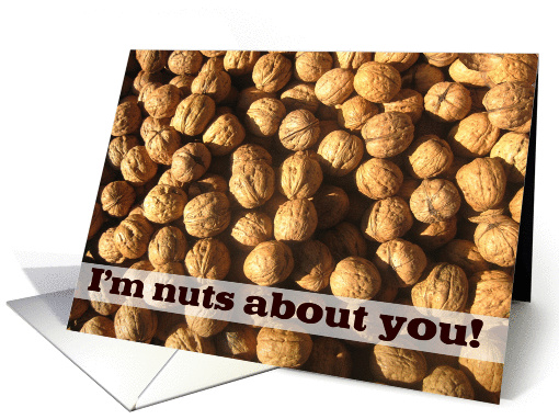 I'm nuts about you card (382734)