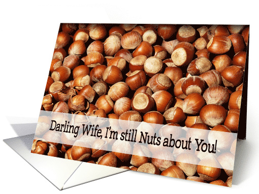 I'm still nuts about you - Darling Wife card (382742)
