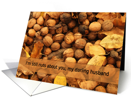 I'm still nuts about you - darling husband card (382743)