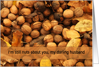 I’m still nuts about you - darling husband card