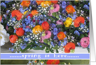 spring bouquet - spring is here card