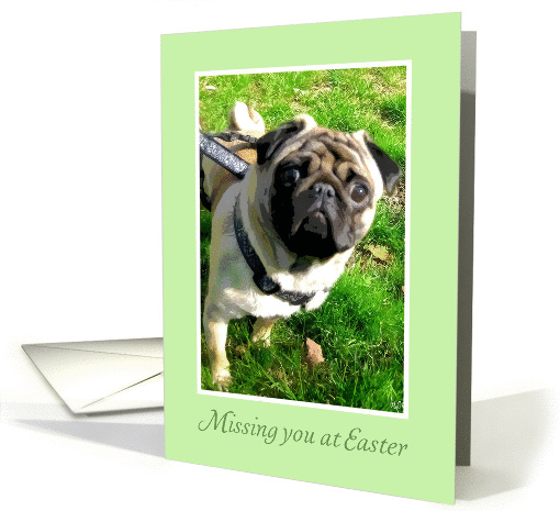 Missing you at Easter, Sad Pug card (395438)