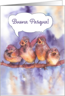 Buona Pasqua, Happy Easter in Italian, cute sparrows card