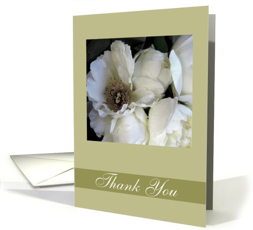 thank you for your sympathy white peony rose card (401281)