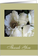 thank you for your sympathy white peony rose card