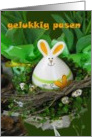 gelukkig pasen happy easter bunny, nest and eggs card