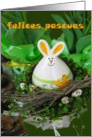 felices pascuas happy easter bunny, nest and eggs card
