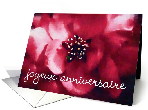 joyeux anniversaire macro red flower art card (416939)