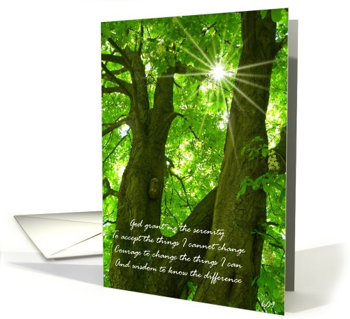 recovery encouragement forest tree serenity prayer card (424558)