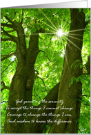 recovery encouragement forest tree serenity prayer card