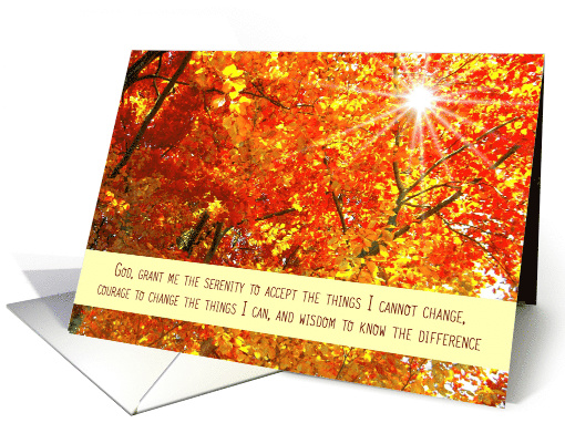 Recovery Encouragement, Serenity Prayer, Fall Trees and Sunlight card