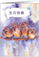 happy birthday in Chinese, cute sparrows card