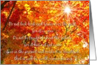 recovery encouragement trees do not grieve over the past card