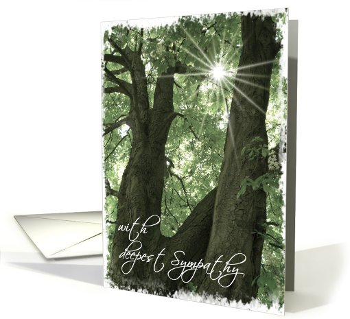 with deepest sympathy trees card (439937)