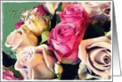 thank you cream and pink roses card