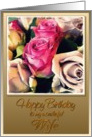 happy birthday to my wonderful wife rose card