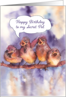 Happy Birthday to my Secret Pal, cute sparrows, watercolor painting card