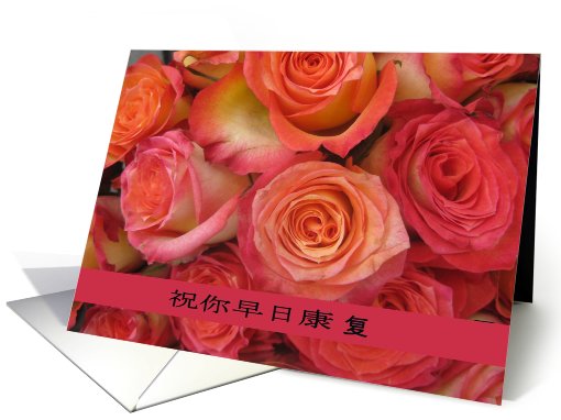 chinese get well soon pink roses card (477557)