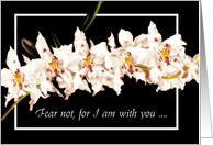 Isaiah 41:10 Fear not, for I am with you card