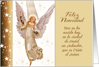 Feliz Navidad, Spanish Merry Christmas + translation Luke 2:11 card