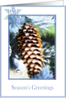 season’s greetings pine tree cone card