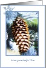 to my wonderful son merry christmas pine tree cone card