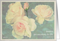 dreams are necessary to life anais nin card