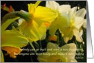don’t look back, look ahead, daffodil card