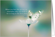don’t give up, encouragement card, butterfly card