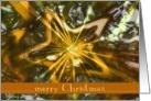 merry christmas shiny star ornament gold brown card