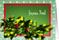 joyeux noel French merry christmas bright holly berries card
