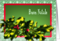 buon Natale Italian merry christmas bright holly berries card