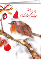 merry christmas robin with hat card