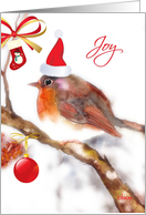 joy - merry christmas card robin with hat card