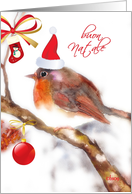 buon natale Italian merry christmas card robin with hat card