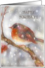 happy holidays robin snowflakes watercolor card