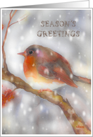 season’s greetings robin snowflakes watercolor card
