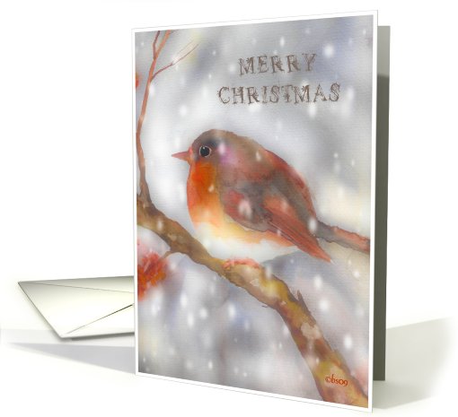 merry christmas robin snowflakes watercolor card (533955)