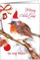To my Mom, Merry Christmas, robin, stocking, glass ornament card