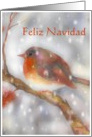 feliz navidad spanish merry christmas robin stocking glass ornament card