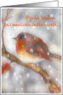 hyv joulua Finnish merry christmas robin stocking glass ornament card