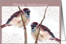 happy anniversary two love birds card