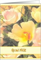 Glad Pask, Swedish Happy Easter, Yellow Tulips Pink Roses card